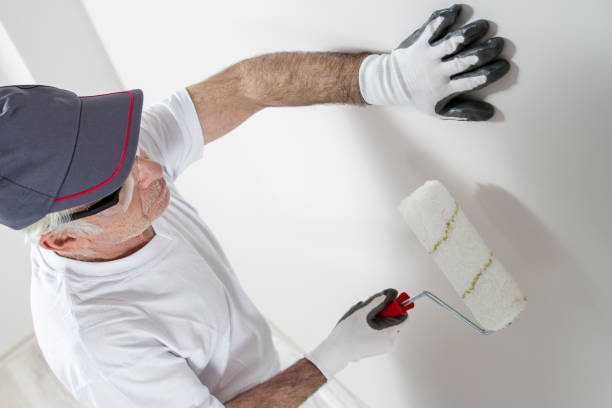 Best Drywall Repair  in Delta, CO